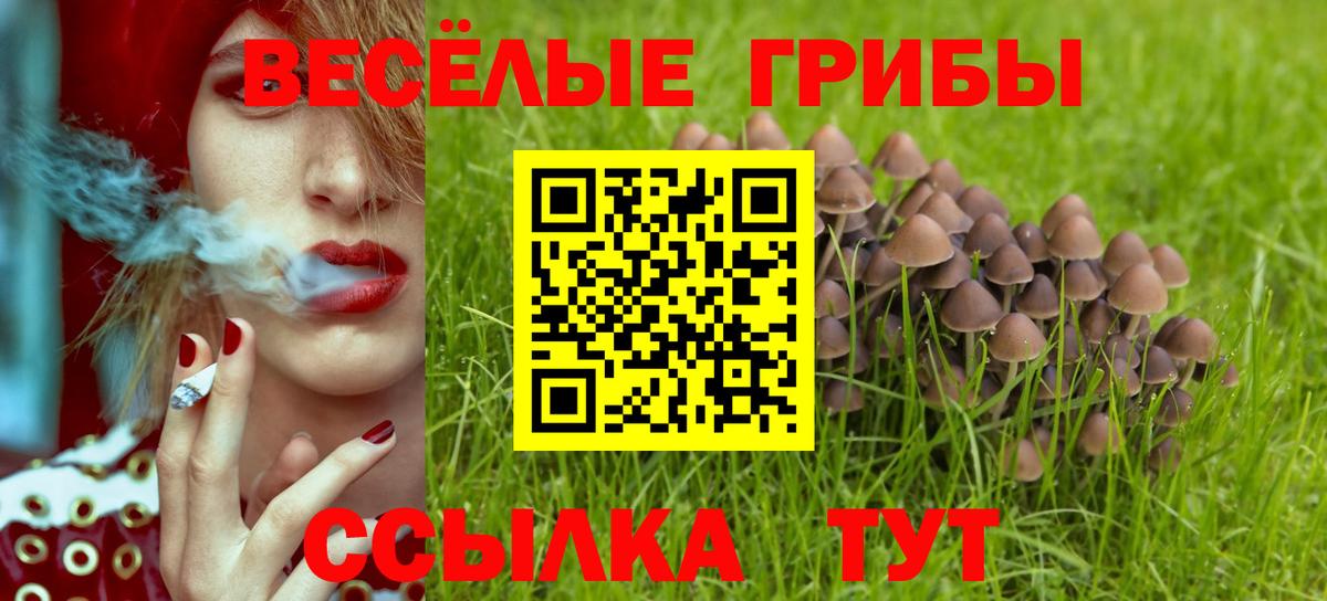 Галлюциногенные грибы мицелий Рубцовск