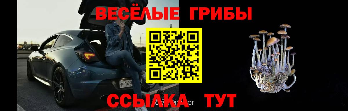 Рубцовск  Галлюциногенные грибы мицелий  Вход с VPN  Галлюциногенные грибы Cubensis 